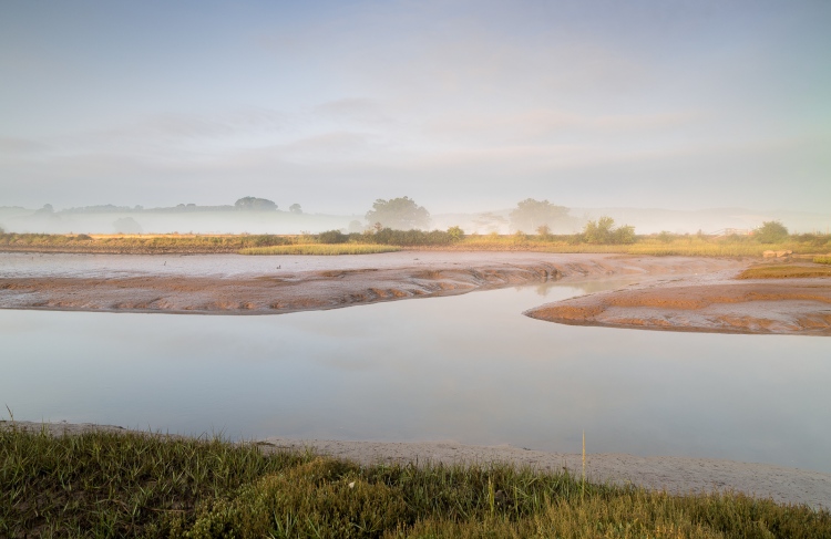 Clearing mist over mudflats